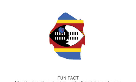 Swaziland Transport Fact I