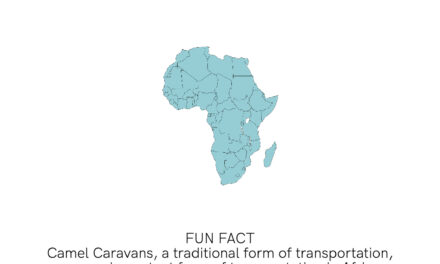 Africa Transport Fact VII